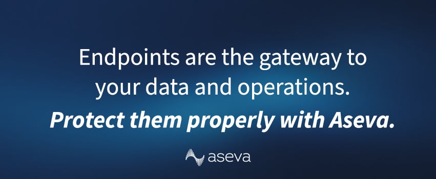 Endpoints are the gateway to your data and operations. Protect them properly with Aseva.