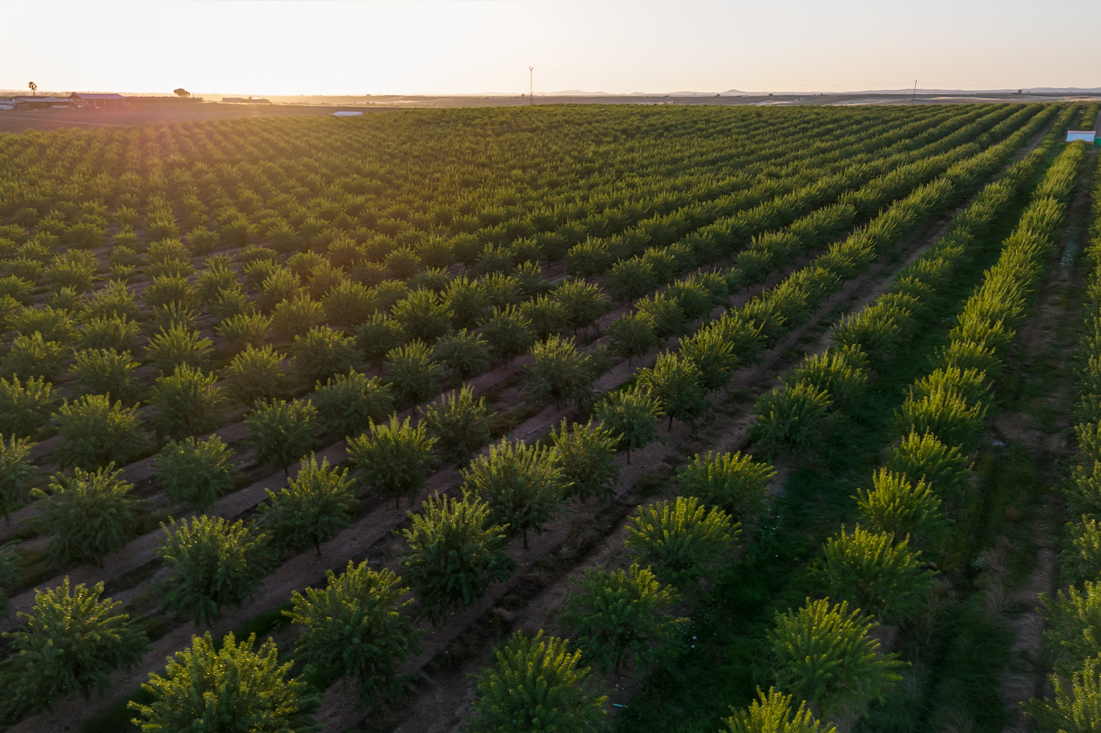 casestudy-pomonafarming-1