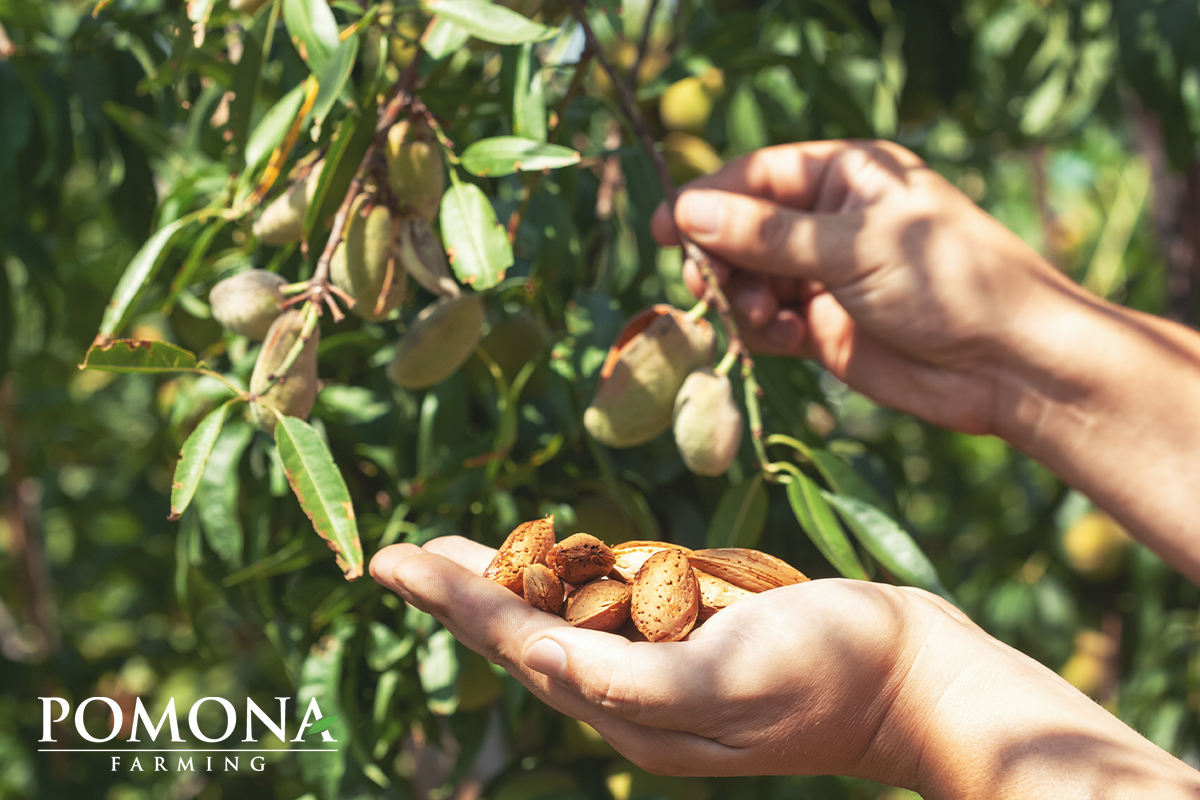casestudy-pomonafarming-2