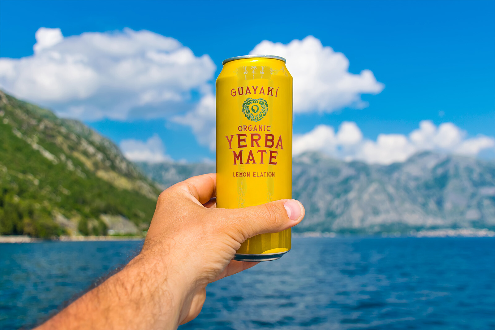 impulse-casestudy-guayaki-1